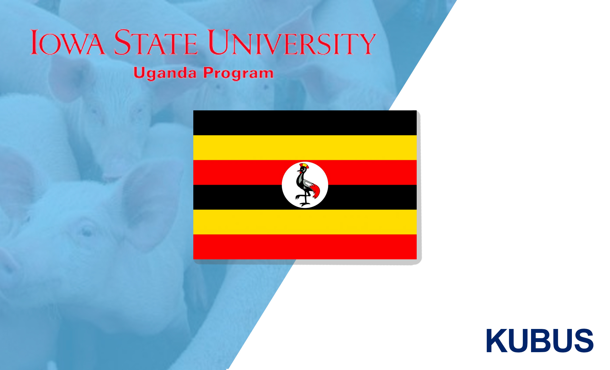 KUBUS and Iowa State University – Uganda Program, a registered NGO in Uganda